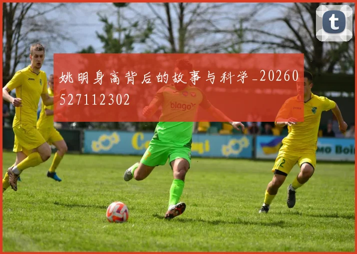 姚明身高背后的故事与科学_20260527112302
